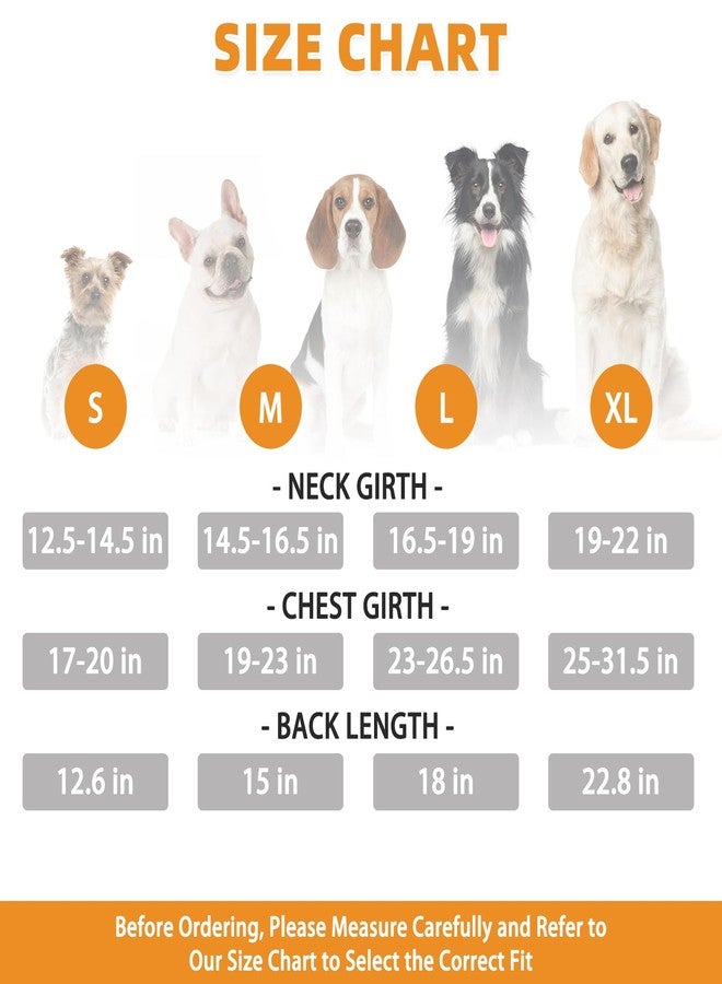 كولتيل معطف مطري للكلاب من كولتيل، معطف مطري للحيوانات الأليفة قابل للعكس، بغطاء رأس شفاف مزدوج الطبقات مع جيب تخزين سهل، معطف واقٍ من المطر قابل للتعديل ومقاوم للماء والرياح وعاكس للضوء، مزود بفتحة لربط المقود، مناسب للكلاب الصغيرة والمتوسطة الحجم، مقاس صغير - Image 2